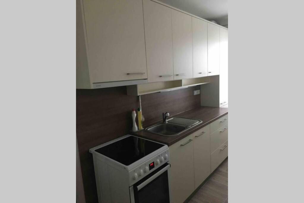 Family Apartment With Garden And Parking Spot Ceske Budejovice Exterior foto